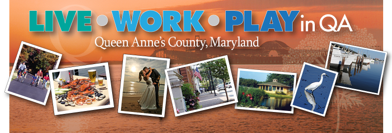 LIVE WORK PLAY in QA.png